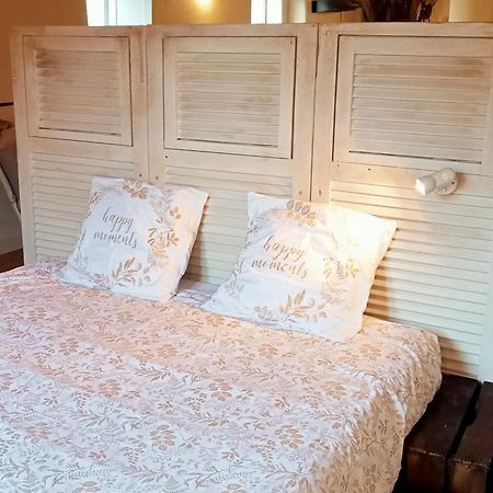 索尔格"Chez Gwenael Et Valery Fr" 50M2 Deco Shabby别墅 外观 照片